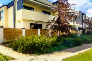 6 Renouf Street, Casey